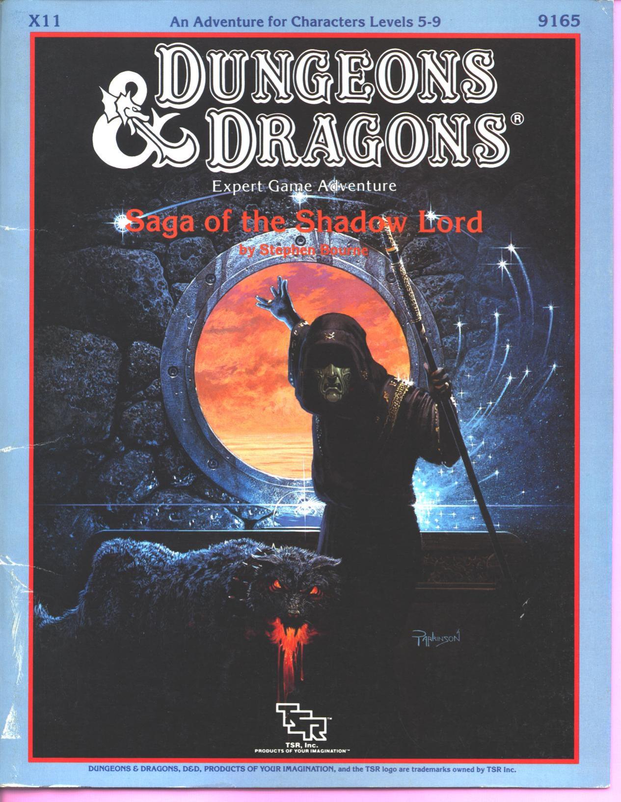 Saga of the Shadow Lord